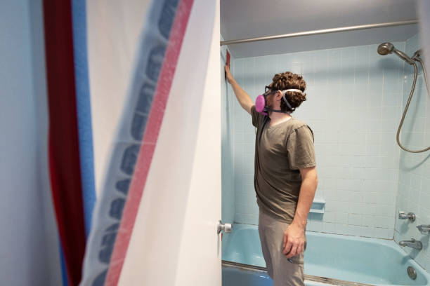 Trusted Uintah, UT Mold Removal Experts