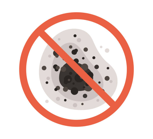 Best Real Estate Mold Inspection  in Uintah, UT