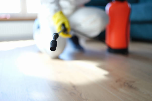 Best Air Quality Testing for Mold Spores  in Uintah, UT