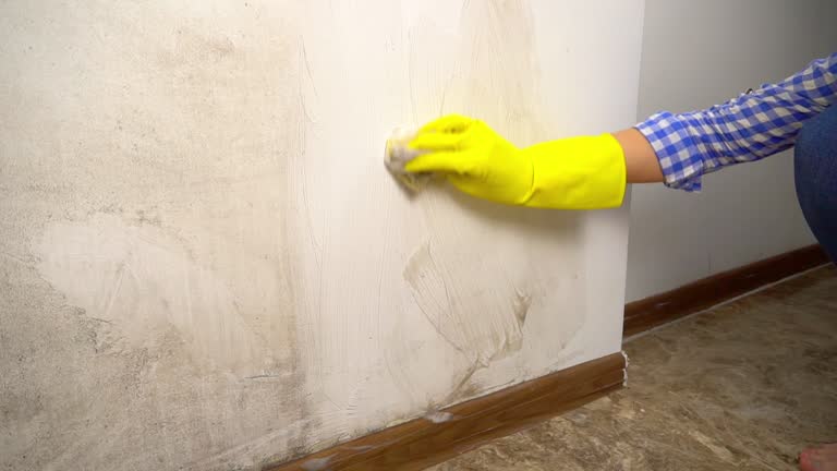 Best HVAC Mold Inspection and Cleaning  in Uintah, UT