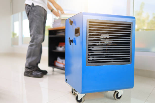 Best Biohazard Mold Removal  in Uintah, UT