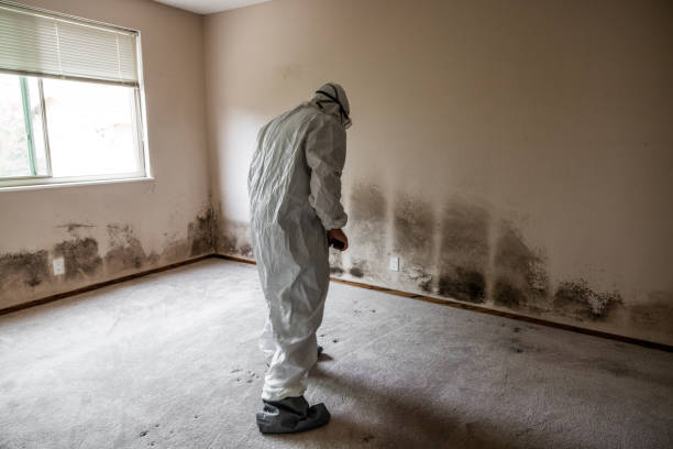Best Industrial Mold Remediation  in Uintah, UT